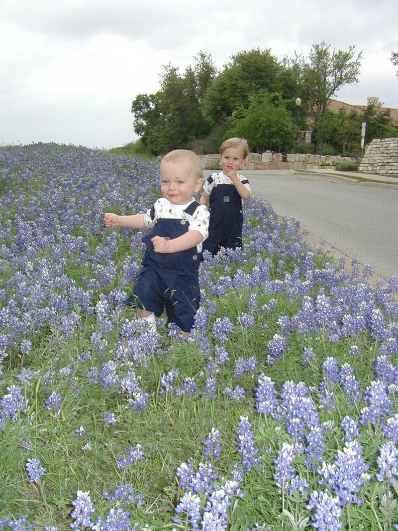 2001/04(April)/BlueBonnets/800x600_2001-04-07-BlueBonnets-17-Chance-Vale.jpg