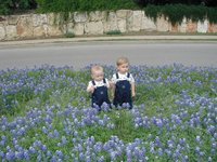 2001-04-07-BlueBonnets-01-Chance-Vale.jpg