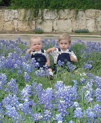 2001-04-07-BlueBonnets-02-Chance-Vale.jpg