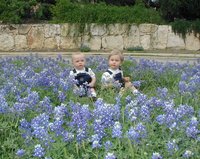 2001-04-07-BlueBonnets-04-Chance-Vale.jpg