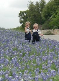 2001-04-07-BlueBonnets-09-Chance-Vale.jpg