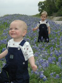2001-04-07-BlueBonnets-11-Chance-Vale.jpg