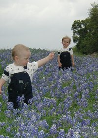 2001-04-07-BlueBonnets-13-Chance-Vale.jpg