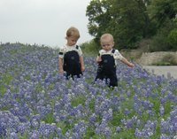 2001-04-07-BlueBonnets-14-Chance-Vale.jpg