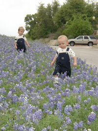 2001-04-07-BlueBonnets-15-Chance-Vale.jpg