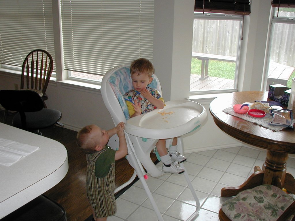 2001/04(April)/Misc/1024x768_2001_04_10_Chance_feeding_Vale.jpg