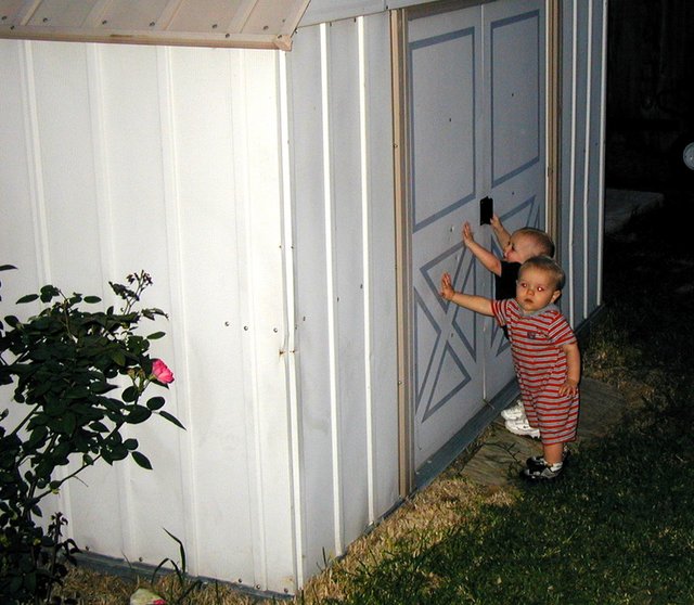 2001/04(April)/Misc/640x480_2001-04-28-5-Backyard-Zen-Vale.jpg