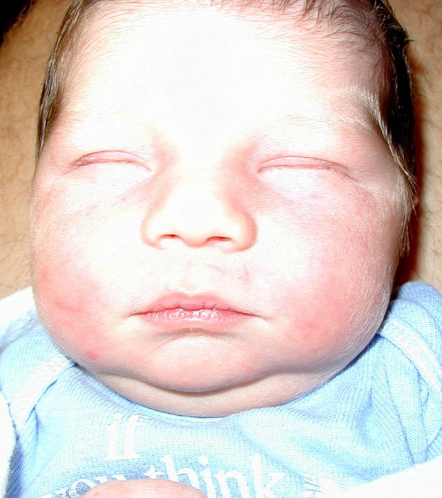 2001-05-09-09-Dax.jpg