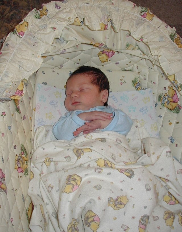 2001-05-12--08-Dax-sleeping.jpg