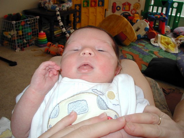 2001-05-13-3-Dax.jpg