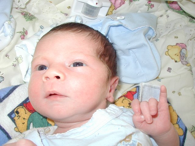 2001-05-17-Dax-2.jpg