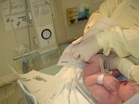 2001-05-07-06-Dax.JPG