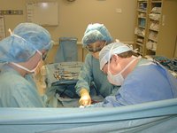 2001-05-07-10-Doctors.JPG
