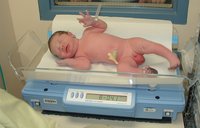 2001-05-07-14-Dax-on-Scale-2.jpg