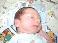 2001-05-17-Dax-1.jpg