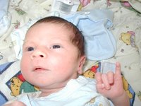 2001-05-17-Dax-2.jpg