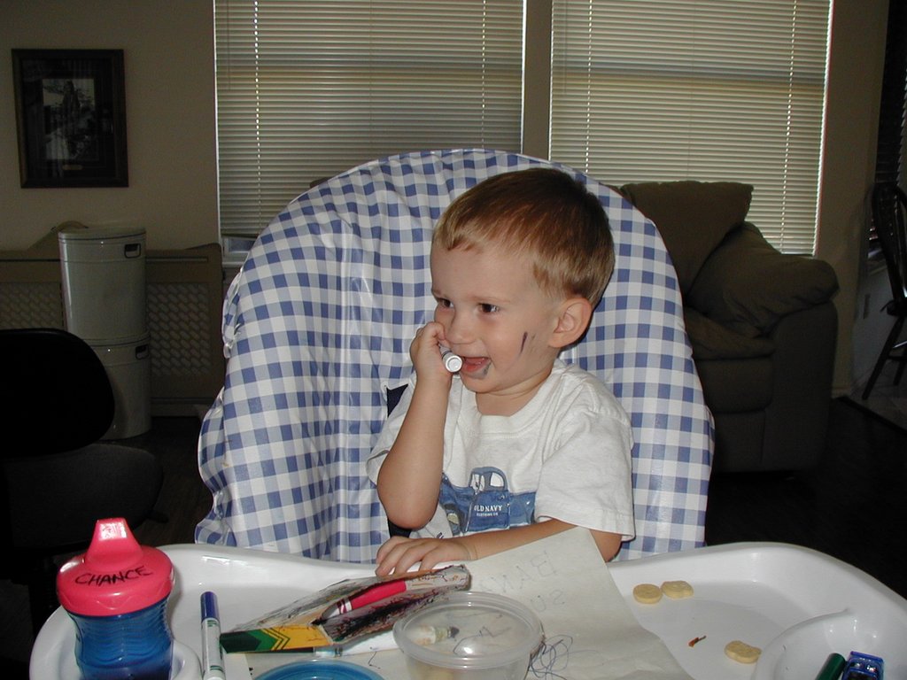 2001-07-11-Chance-with-markers-1.jpg