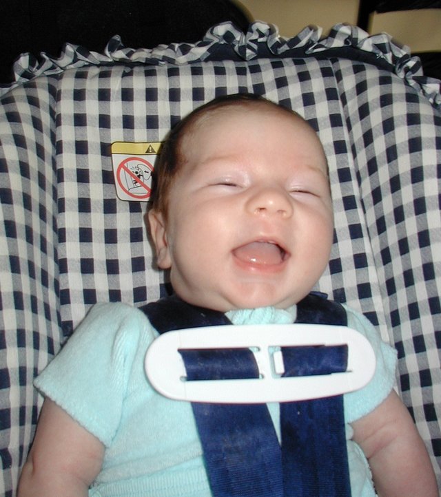 2001-07-05-1-Dax-carseat.jpg