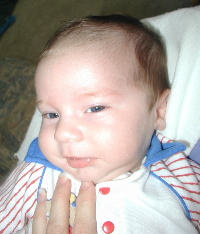 2001/07(July)/Misc/800x600_2001-07-14-Dax-2.jpg