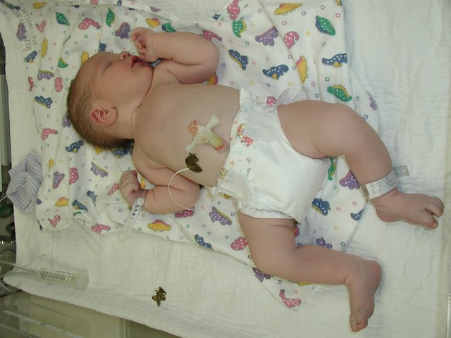 2001/08(August)/Case-Daniel-Lasater/640x480_P8100002.JPG