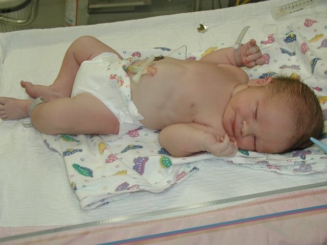 2001/08(August)/Case-Daniel-Lasater/640x480_P8100003.JPG