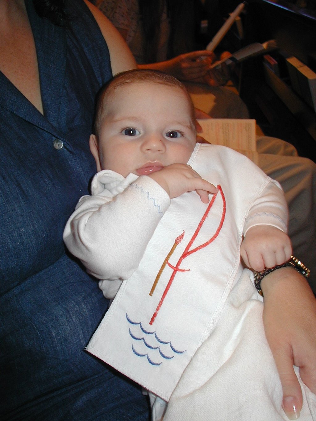 2001/08(August)/Dax-Baptism/1024x768_2001-08-18-Dax-Baptism-27-Dax-sash.JPG