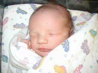 2001-08-10-Case-2.JPG