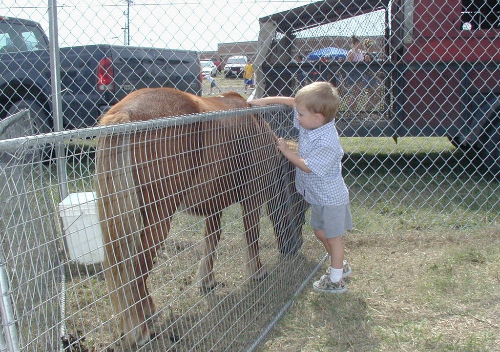 2001-09-30-Church-fair-5-pony-Chance.JPG