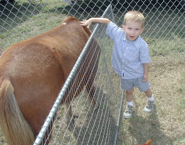 2001-09-30-Church-fair-6-pony-Chance.JPG
