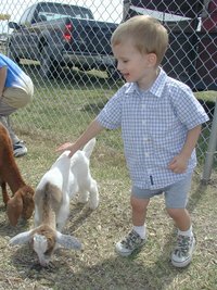 2001-09-30-Church-fair-4-goat-Chance.JPG