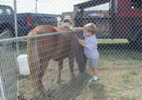 2001-09-30-Church-fair-5-pony-Chance.JPG