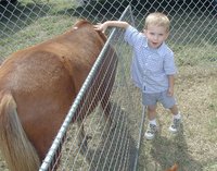2001-09-30-Church-fair-6-pony-Chance.JPG