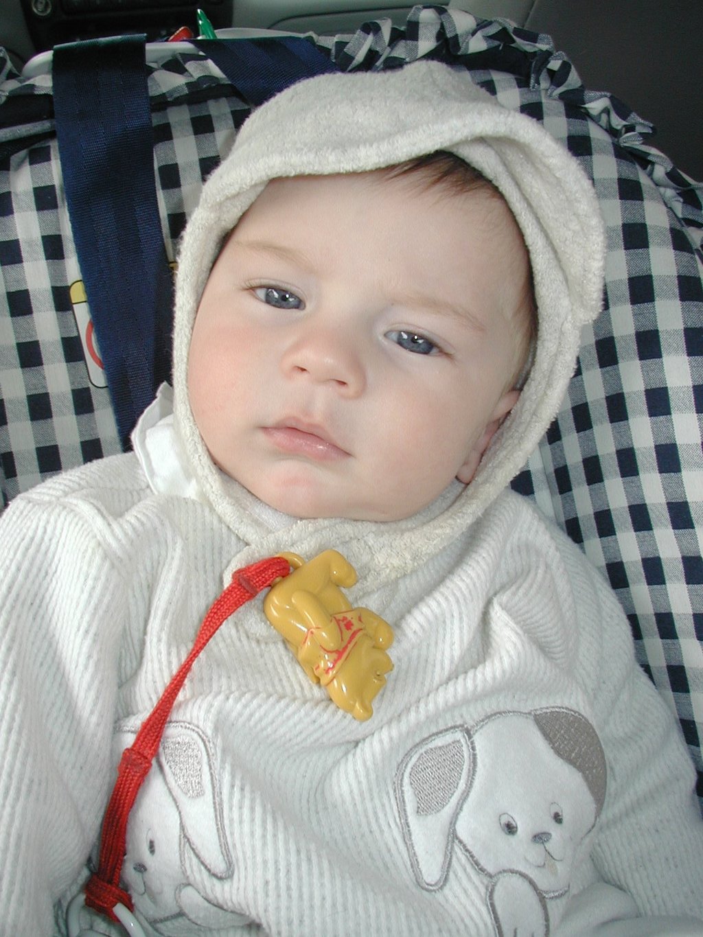 2001/10(October)/Chance-Bday/1024x768_2001-10-06-Dax-2.JPG