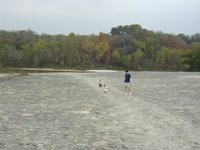 2001-11-12-Camping-McKinney-Falls-12-Chance-Jack-Matt.JPG