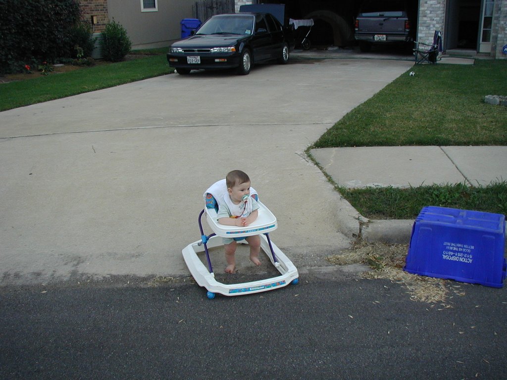 2001-11-13-Dax-walking-in-driveway.JPG