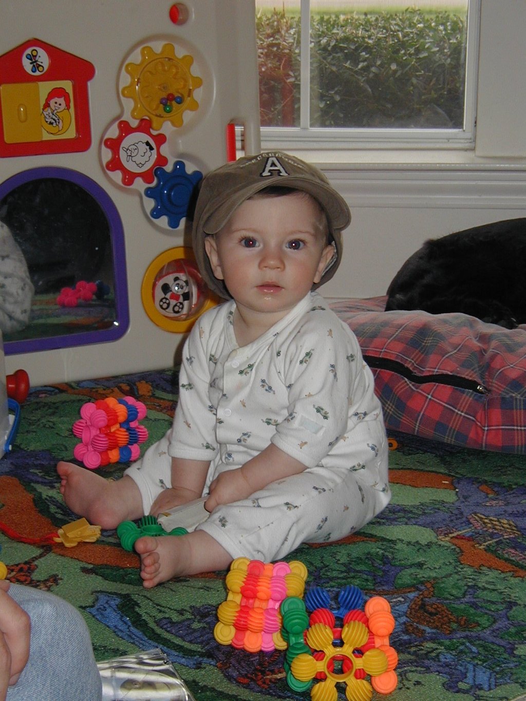 2001/11(November)/Misc/1024x768_2001-11-16-Dax-in-Justins-hat-2.JPG