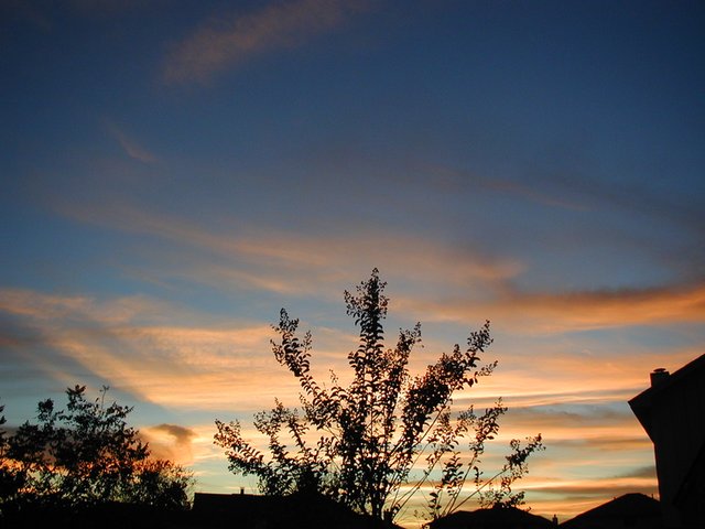 2001-11-29-Amazing-view-of-sunset-Pflugerville-TX-1.JPG