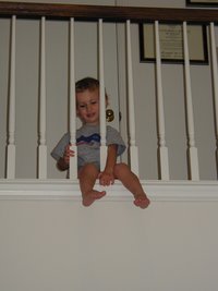 2001-11-12-Chance-in-railing-1.JPG