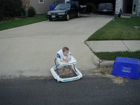 2001-11-13-Dax-walking-in-driveway.JPG