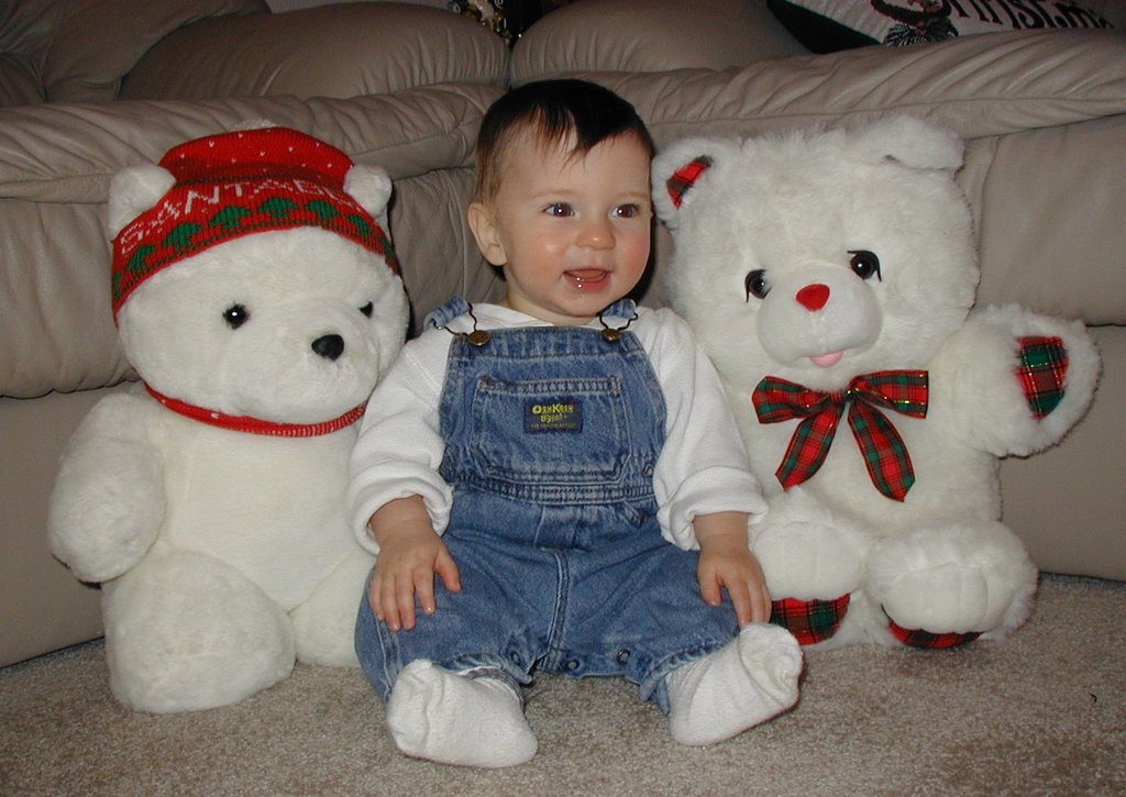 2001/12(December)/Misc/1024x768_2001-12-10-Xmas-bears-Dax-4.JPG