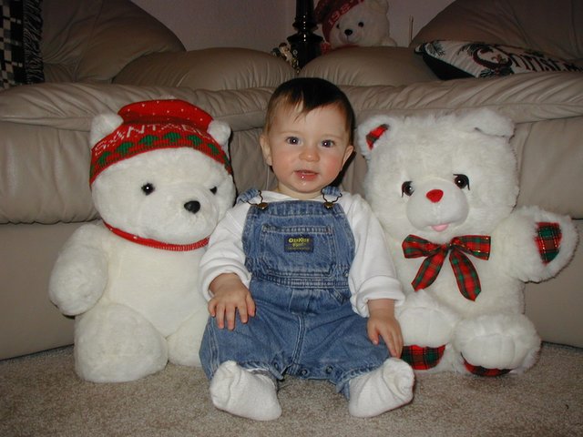 2001/12(December)/Misc/640x480_2001-12-10-Xmas-bears-Dax-3.JPG