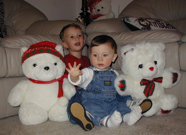 2001/12(December)/Misc/640x480_2001-12-10-Xmas-bears-Dax-Chance-3.JPG