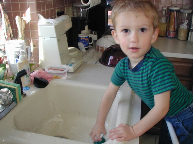 2001-12-24-Chance-cleaning-sink-1.JPG