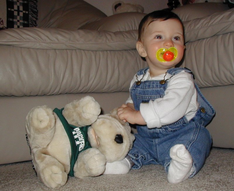 2001/12(December)/Misc/800x600_2001-12-10-Xmas-bears-Dax-1.JPG