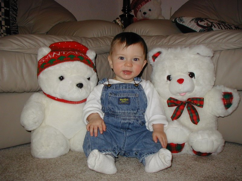 2001/12(December)/Misc/800x600_2001-12-10-Xmas-bears-Dax-3.JPG