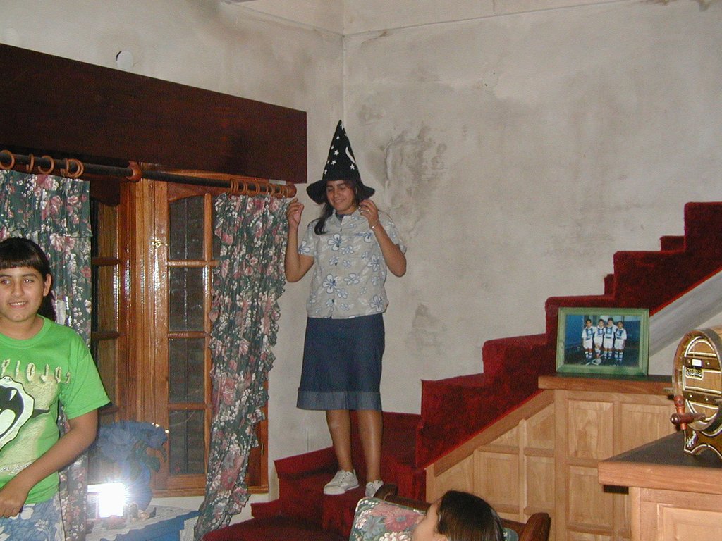 2001/Argentina/1024x768_P4160649.JPG