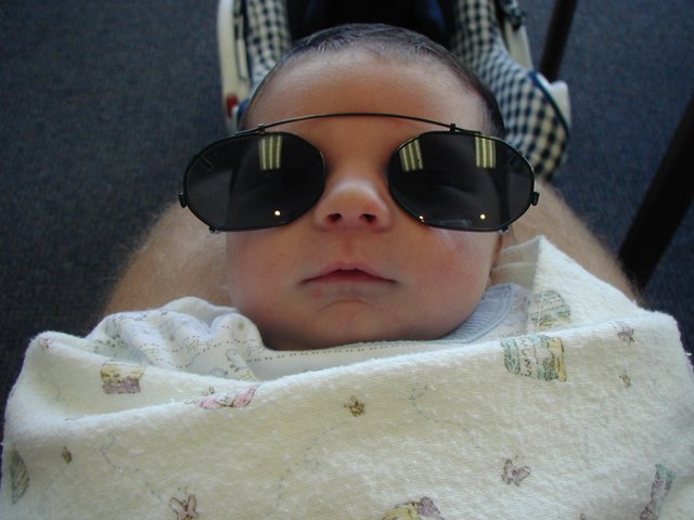 2001-05-14-01-Dax-Sunglasses.jpg