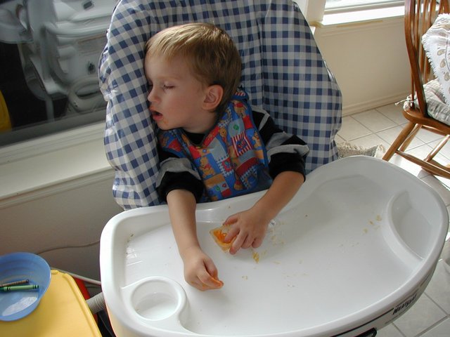 2001-11-11-Chance-pre-camping-nap-in-high-chair-with-cheese.JPG