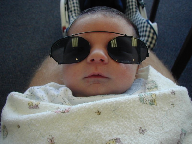 2001-05-14-01-Dax-Sunglasses.jpg
