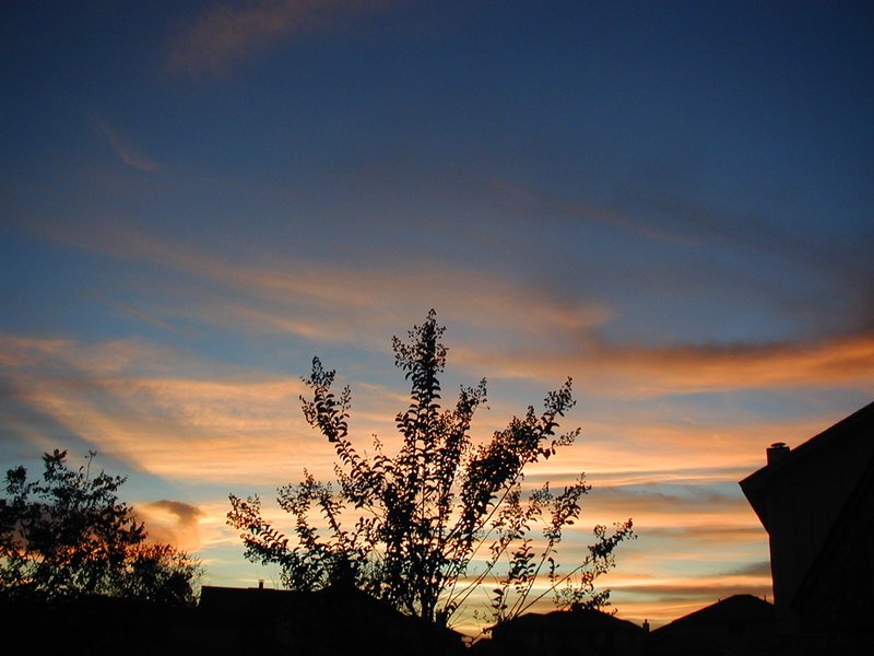 2001-11-29-Amazing-view-of-sunset-Pflugerville-TX-2.JPG